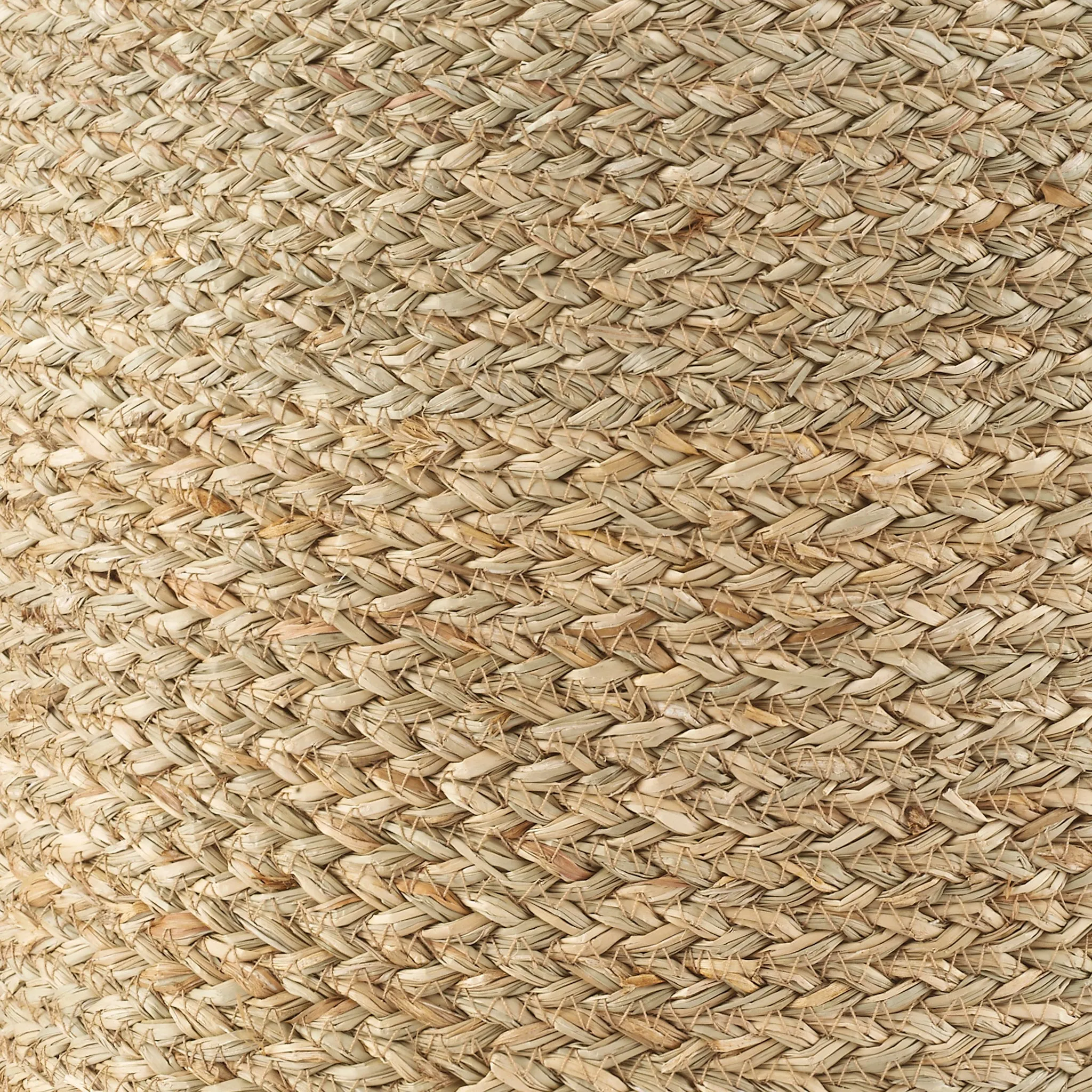 Seagrass Bin